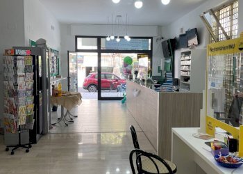 Foto 2 - Attività Commerciale Via Duca D'Aosta
 
44, Alba Adriatica - foto 2