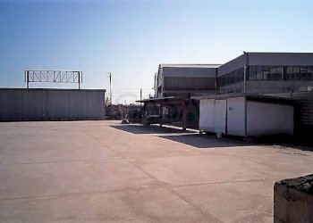 Foto 7 - Capannone Via Enrico de Nicola, San Benedetto del Tronto - foto 7