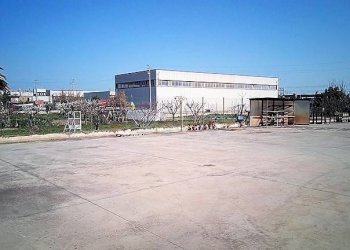 Foto 8 - Capannone Via Enrico de Nicola, San Benedetto del Tronto - foto 8