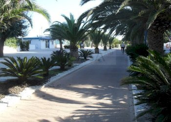 Foto 8 - Attic Viale Rinascimento, San Benedetto del Tronto - photo 7