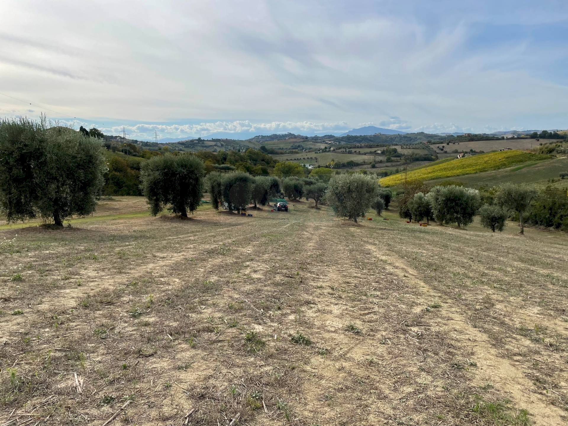 Foto 3 - Terreno agricolo Strada Provinciale, Monsampolo del Tronto - foto 3