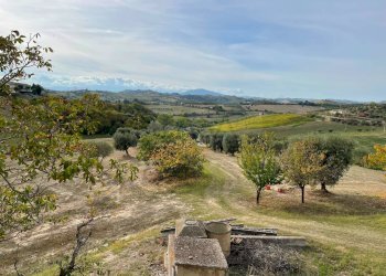 Foto 2 - Terreno agricolo Strada Provinciale, Monsampolo del Tronto - foto 2