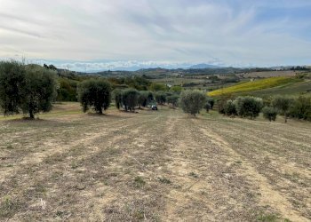 Foto 3 - Terreno agricolo Strada Provinciale, Monsampolo del Tronto - foto 3