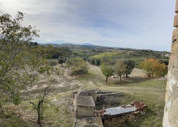 Foto 4 - Terreno agricolo Strada Provinciale, Monsampolo del Tronto - foto 4