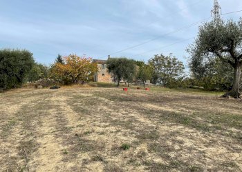 Foto 8 - Terreno agricolo Strada Provinciale, Monsampolo del Tronto - foto 8