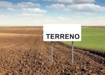 Foto 9 - Terreno agricolo Strada Provinciale, Monsampolo del Tronto - foto 9