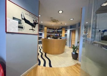 Foto 1 - Ufficio Via Mameli, San Benedetto del Tronto - foto 1