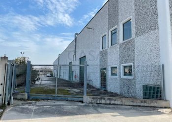 Foto 3 - Capannone Strada Provinciale 1, Controguerra - foto 3