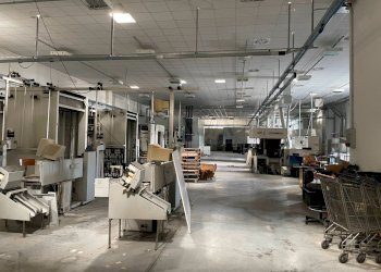 Foto 4 - Capannone Strada Provinciale 1, Controguerra - foto 4