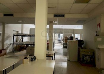 Foto 5 - Capannone Strada Provinciale 1, Controguerra - foto 5