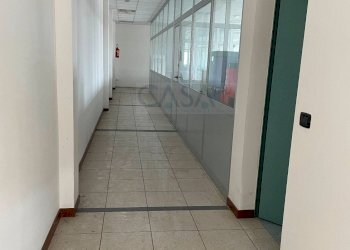 Foto 7 - Capannone Strada Provinciale 1, Controguerra - foto 7