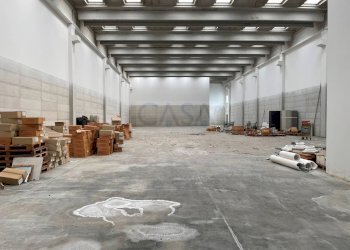 Foto 10 - Capannone Strada Provinciale 1, Controguerra - foto 10