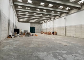 Foto 11 - Capannone Strada Provinciale 1, Controguerra - foto 11