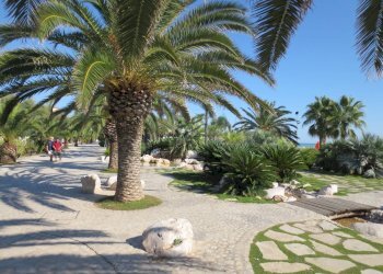 Foto 12 - Bar Tavola Calda - Fredda lungomare marconi, San Benedetto del Tronto - foto 12