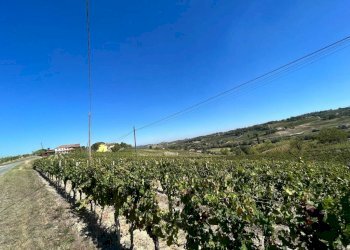Terreno - Rustic strada San Nicolao, 87, Nizza Monferrato - photo 20