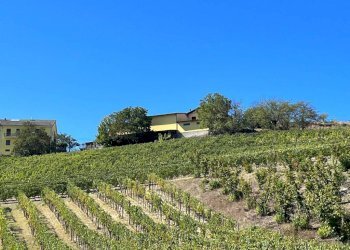 Terreno - Rustic strada San Nicolao, 87, Nizza Monferrato - photo 22