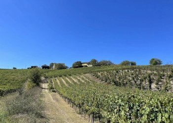 Terreno - Rustic strada San Nicolao, 87, Nizza Monferrato - photo 24