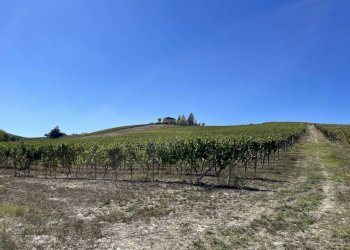 Terreno - Rustic strada San Nicolao, 87, Nizza Monferrato - photo 27