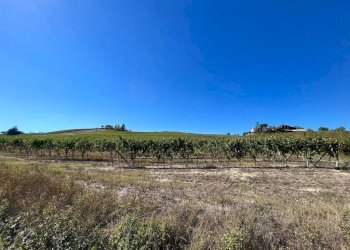 Terreno - Rustic strada San Nicolao, 87, Nizza Monferrato - photo 29