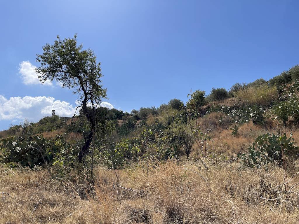 Foto 3 - Terreno edificabile contrada Filici II Pellaro, Reggio di Calabria - foto 3