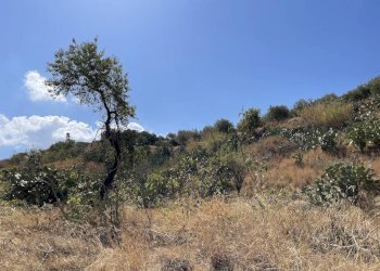 Foto 3 - Terreno edificabile contrada Filici II Pellaro, Reggio di Calabria - foto 3