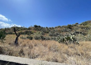 Foto 4 - Terreno edificabile contrada Filici II Pellaro, Reggio di Calabria - foto 4