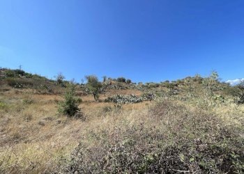 Foto 6 - Terreno edificabile contrada Filici II Pellaro, Reggio di Calabria - foto 6