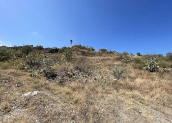 Foto 8 - Terreno edificabile contrada Filici II Pellaro, Reggio di Calabria - foto 8