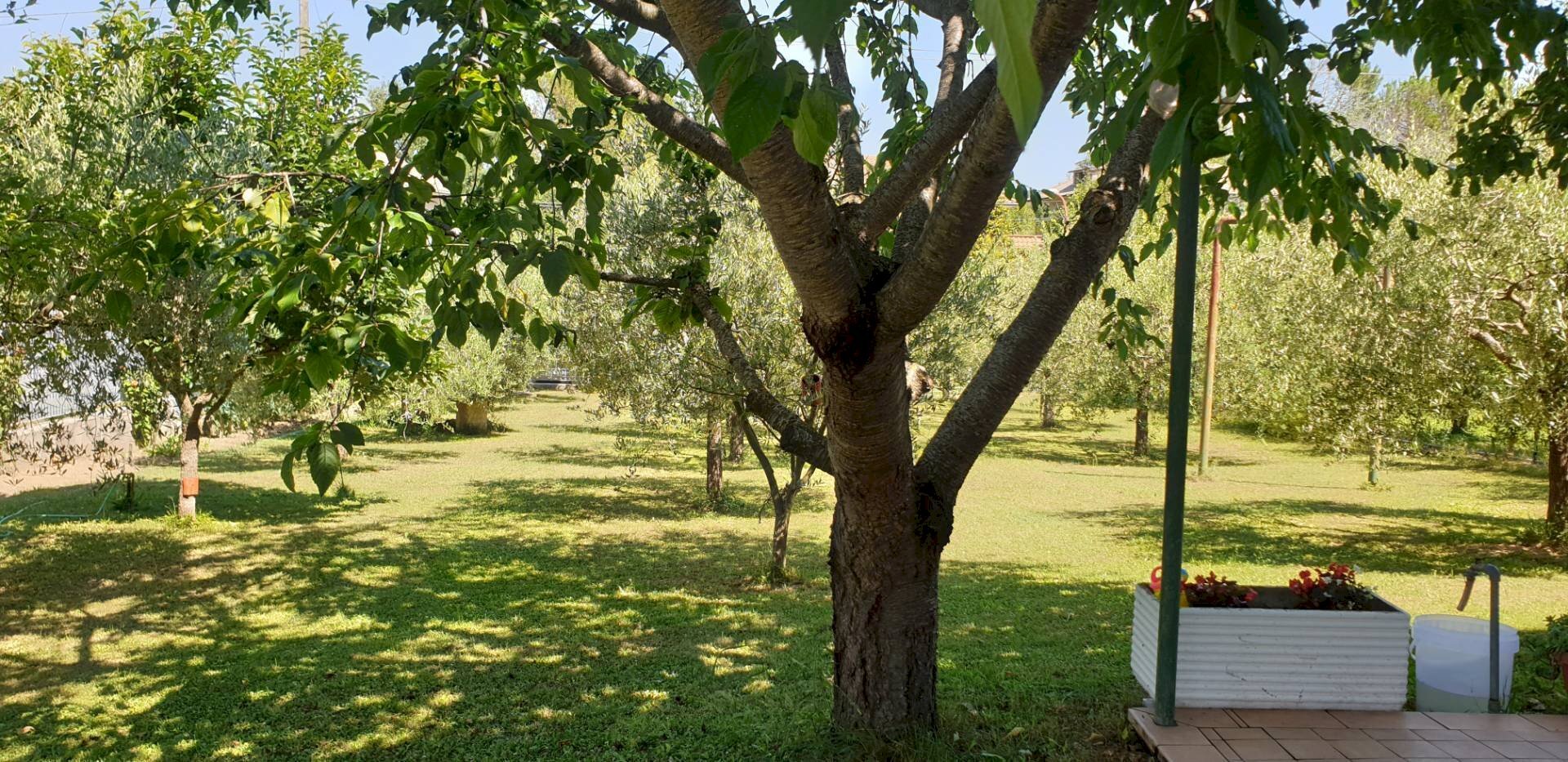 Foto 2 - Villa villa curti, Venarotta - photo 2