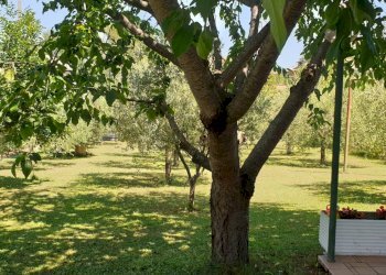 Foto 2 - Villa villa curti, Venarotta - photo 2