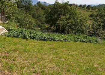 Foto 17 - Apartment strada scalelle
 
2, Roccafluvione - photo 17