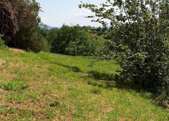 Foto 18 - Apartment strada scalelle
 
2, Roccafluvione - photo 18