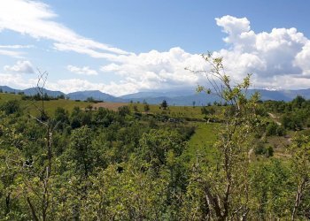 Foto 20 - Apartment strada scalelle
 
2, Roccafluvione - photo 20