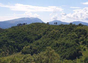 Foto 21 - Apartment strada scalelle
 
2, Roccafluvione - photo 21