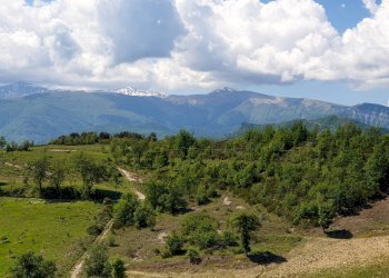 Foto 25 - Apartment strada scalelle
 
2, Roccafluvione - photo 25