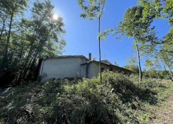 Magazzino - Rustico strada Regione Fornaci, 19, Peveragno - foto 33