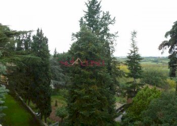 Foto 47 - Villa Siena - foto 44