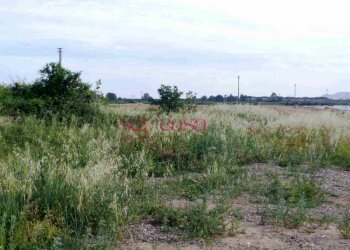 Foto 4 - Rustico Grosseto - foto 4