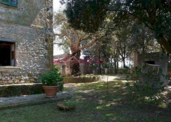 Foto 7 - Villa Scansano - foto 7