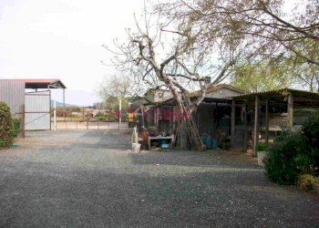 Foto 12 - Agriturismo Grosseto - photo 12