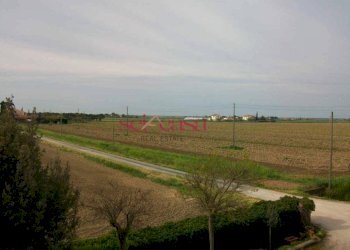 Foto 15 - Agriturismo Grosseto - photo 15