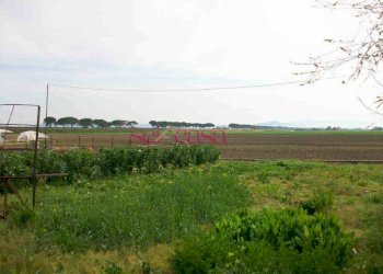 Foto 17 - Agriturismo Grosseto - photo 17