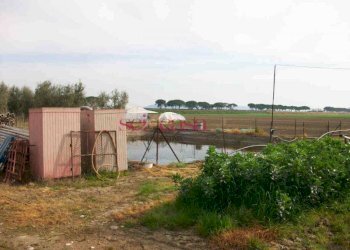 Foto 27 - Agriturismo Grosseto - photo 27