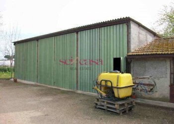 Foto 31 - Agriturismo Grosseto - photo 31