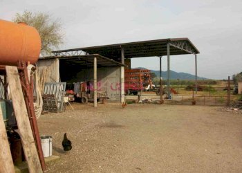 Foto 32 - Agriturismo Grosseto - photo 32