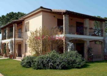 Foto 8 - Azienda agricola Capalbio - foto 8