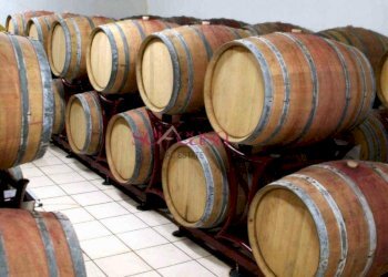 Foto 14 - Azienda agricola Capalbio - foto 14