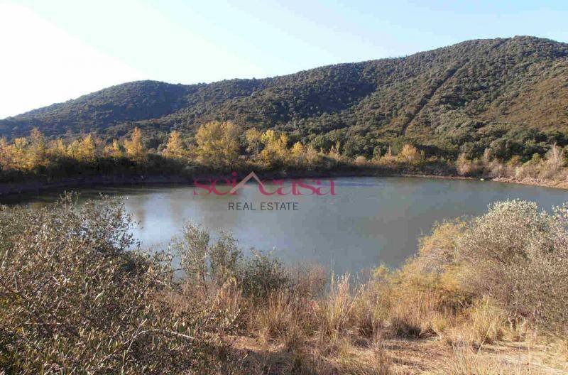 Foto 1 - Rustico Castiglione della Pescaia - foto 1