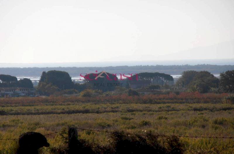 Foto 3 - Rustico Castiglione della Pescaia - foto 3