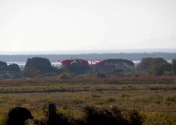 Foto 3 - Rustico Castiglione della Pescaia - foto 3